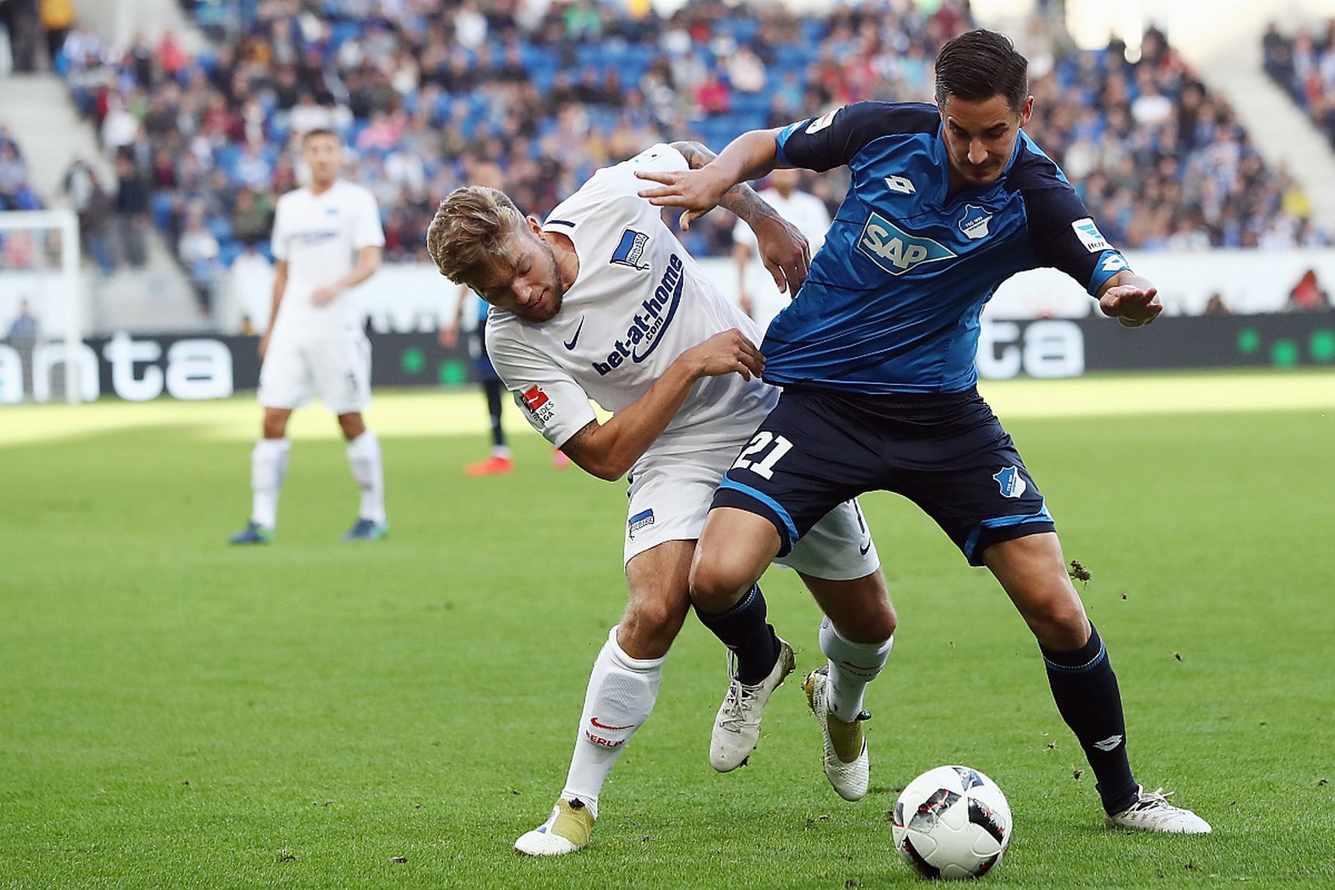 霍芬海姆主场失利,遭遇寒冬 霍芬海姆主场失利,遭遇寒冬