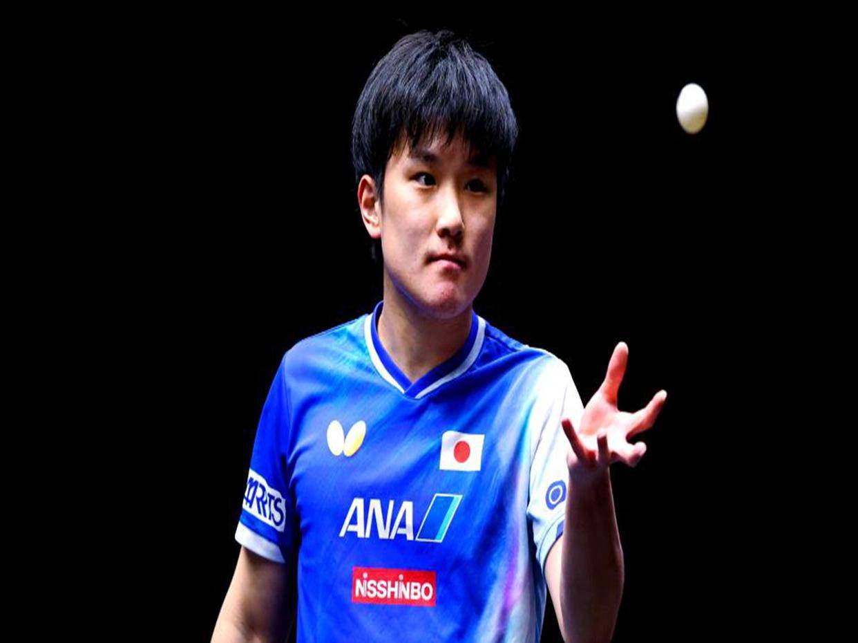 包含法国队完胜英格兰队，张本智和高光表现的词条