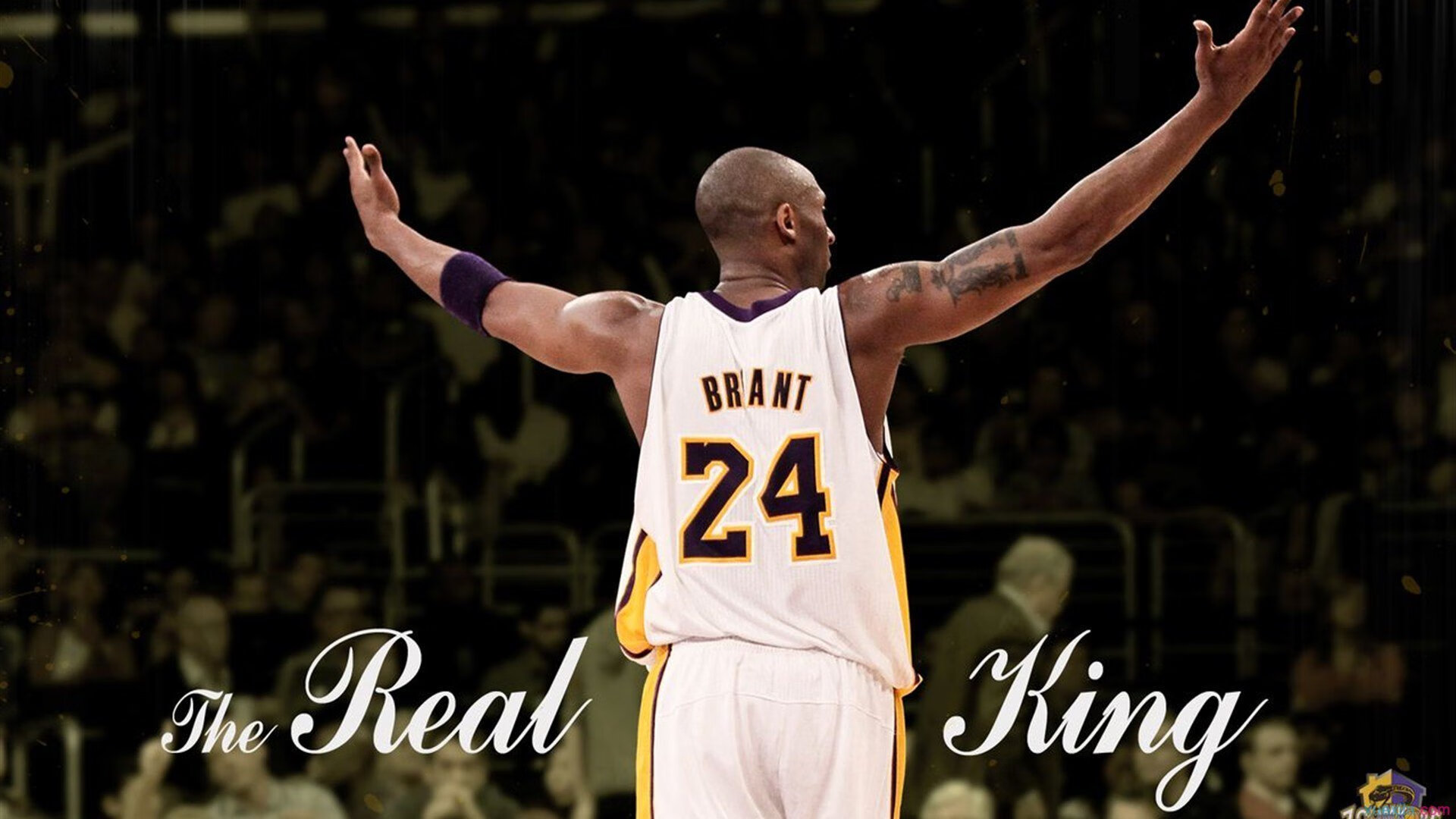 唯一性的奇迹,韩国队轻取日本队背后,王皓如何一肩扛起全队